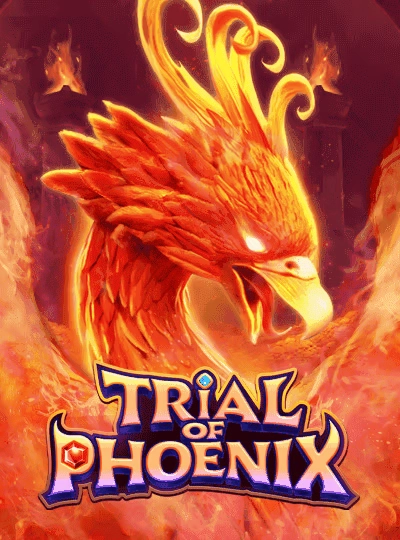 myan123 myan123